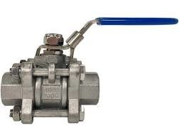 robinet à tournant sphérique droit de fil femelle de 304 316L PCs de l'acier inoxydable solides solubles 1/2in DN15 BSPT TNP 2